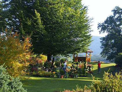 Cliquer pour voir le site des jardins de callunes